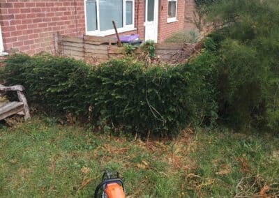 hcv services facebook gallery 20