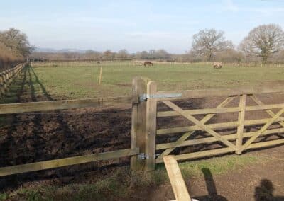 hcv services facebook gallery 27