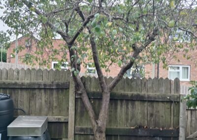 hcv services facebook gallery 51