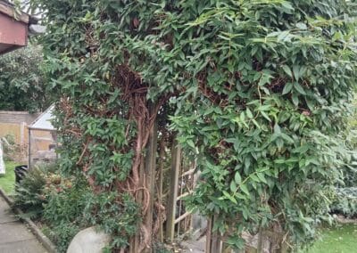 hcv services facebook gallery 53