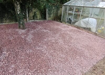 hcv services facebook gallery 61