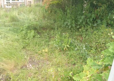 hcv services facebook gallery 63