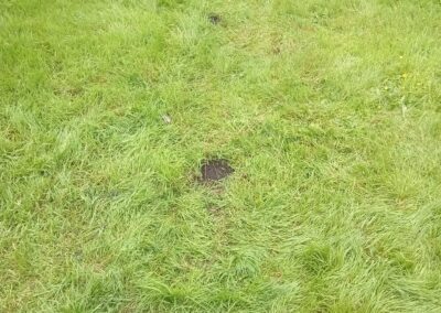 hcv services facebook gallery 66