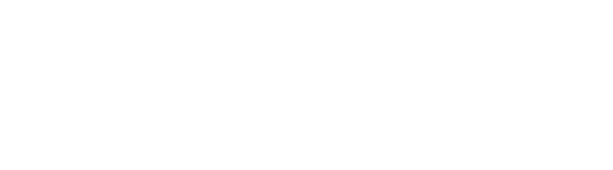 hcv services logo upscaled white